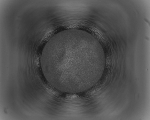 X0000091520503200709071020