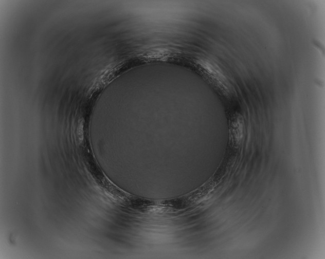 X0000091520504200709071020