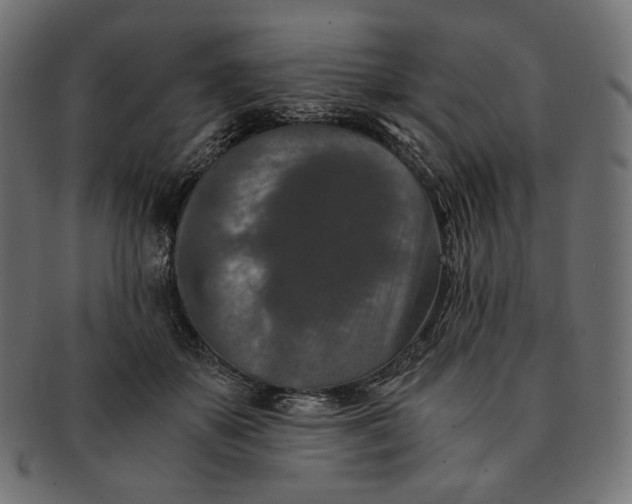 X0000091520507200709071020