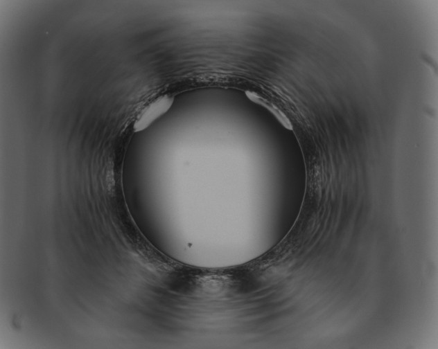 X0000091520508200709071020