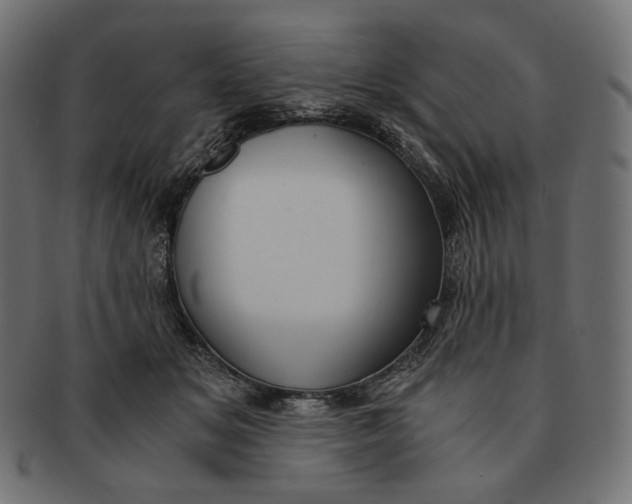 X0000091520509200709071020