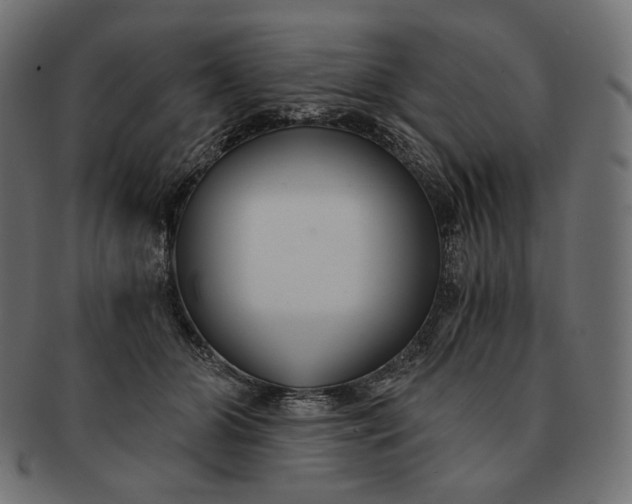 X0000091520510200709071020