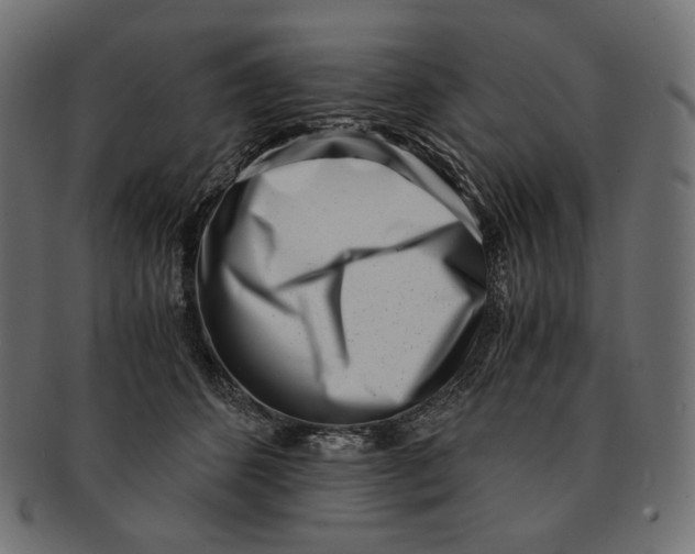 X0000091520512200709071020