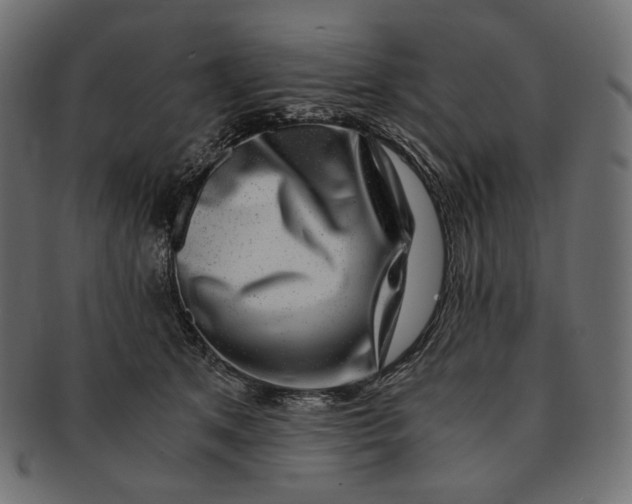 X0000091520513200709071020