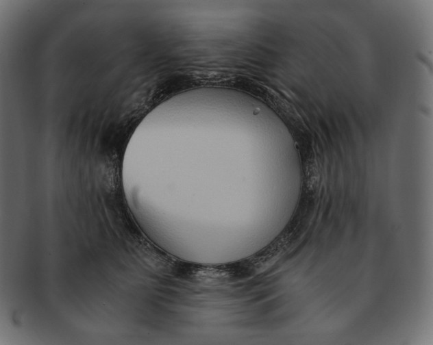 X0000091520515200709071020