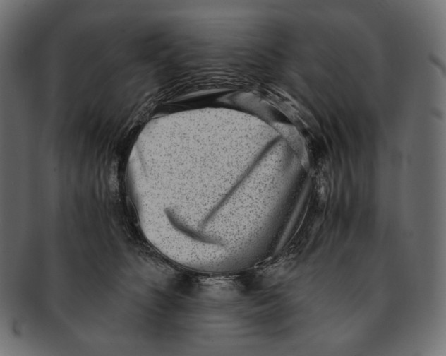 X0000091520516200709071020