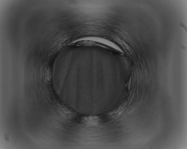 X0000091520517200709071020