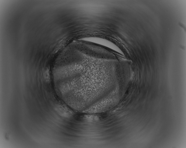 X0000091520520200709071020