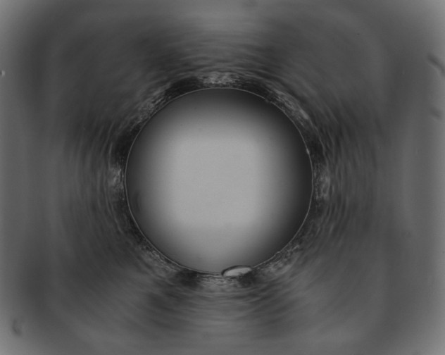 X0000091520521200709071020