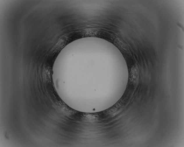 X0000091520522200709071020