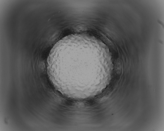 X0000091520523200709071019