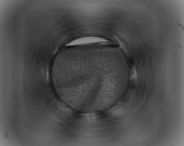 X0000091520524200709071019