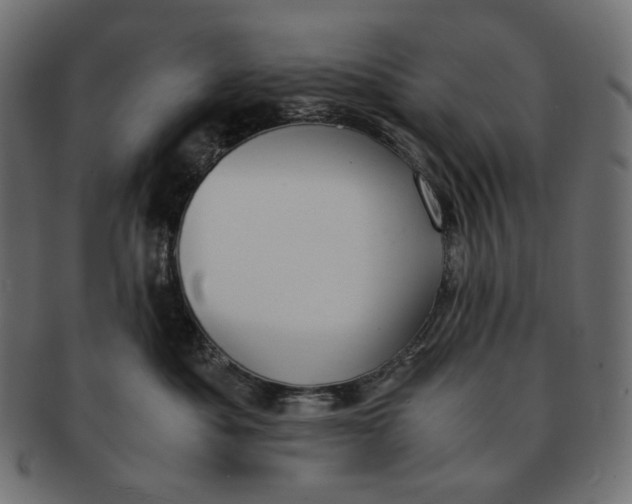 X0000091520525200709071019