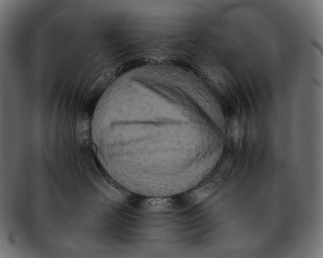 X0000091520526200709071019