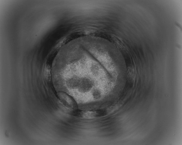 X0000091520527200709071019