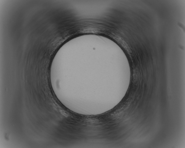 X0000091520529200709071019