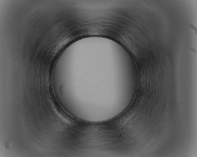 X0000091520530200709071019