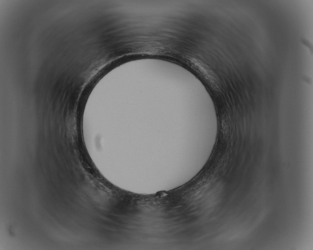 X0000091520532200709071019