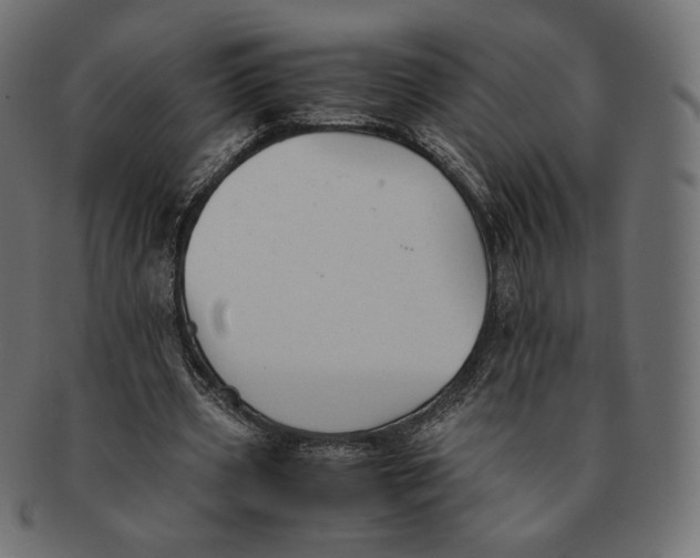 X0000091520533200709071019