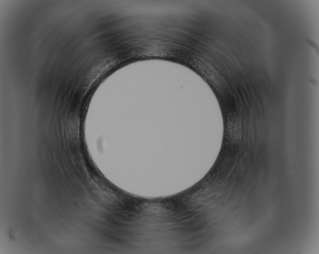 X0000091520534200709071019