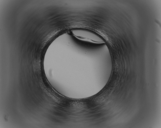 X0000091520535200709071019