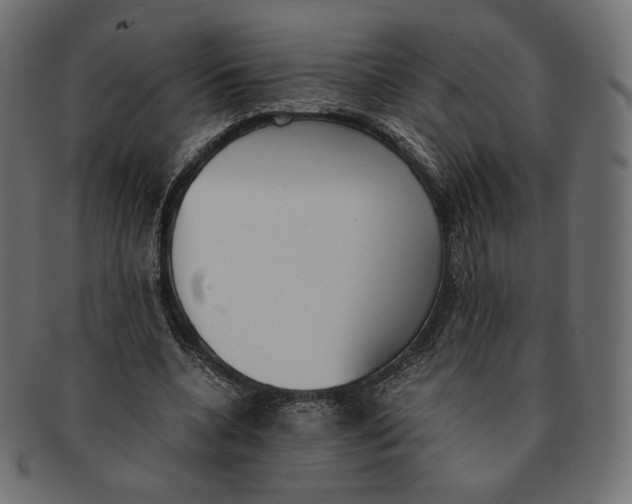 X0000091520536200709071019