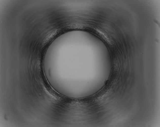 X0000091520538200709071019