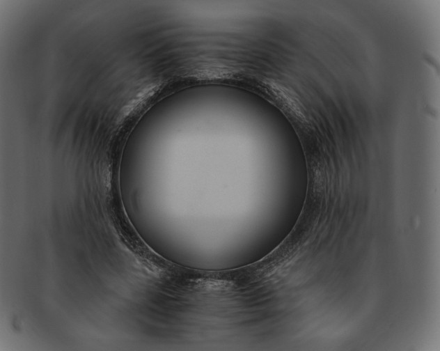 X0000091520539200709071019