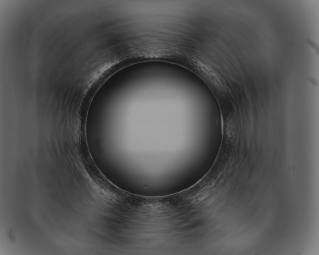 X0000091520540200709071019