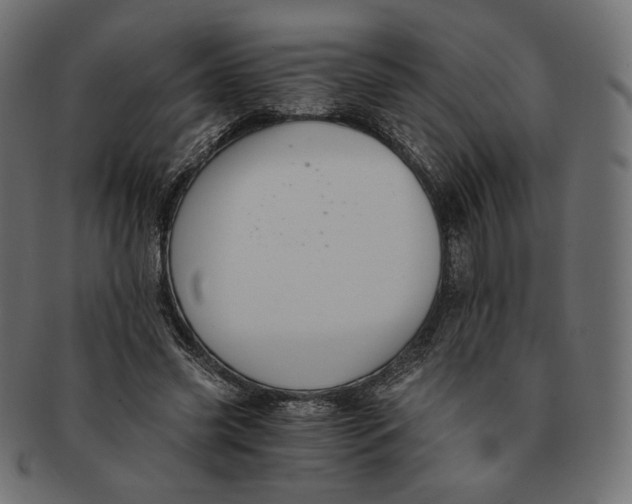 X0000091520541200709071019