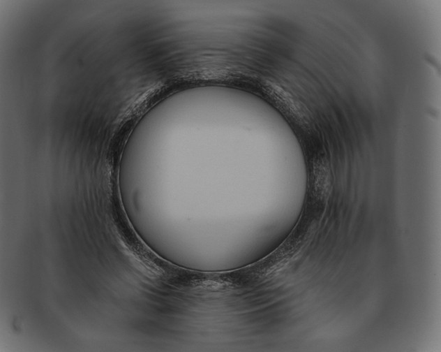 X0000091520542200709071019