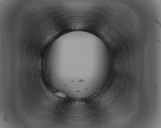 X0000091520543200709071019