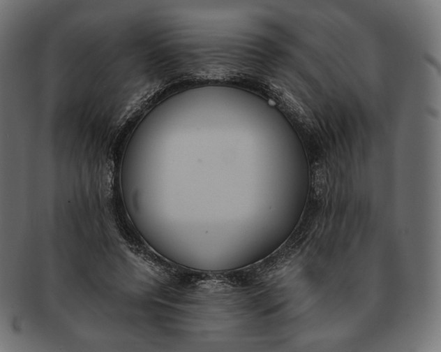 X0000091520544200709071019