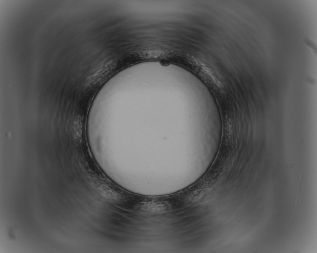 X0000091520545200709071019