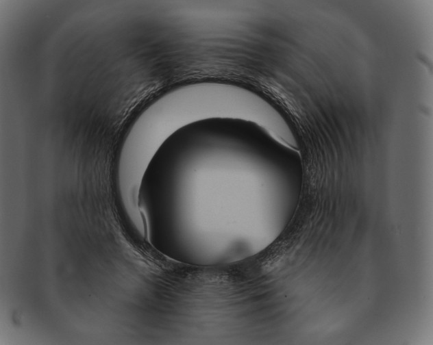 X0000091520546200709071019