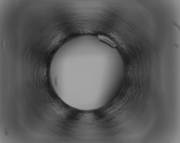 X0000091520548200709071019