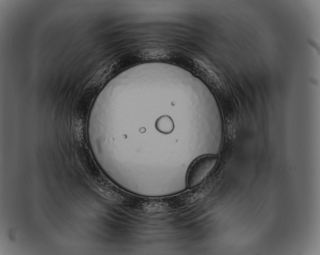 X0000091520549200709071019