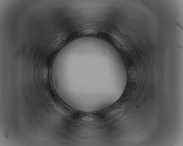 X0000091520550200709071019