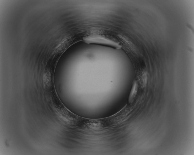 X0000091520552200709071019