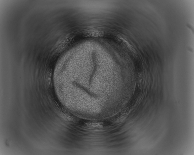 X0000091520553200709071019