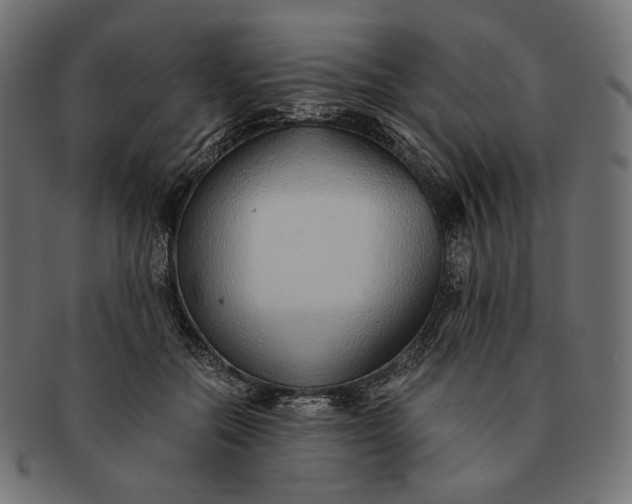 X0000091520554200709071019