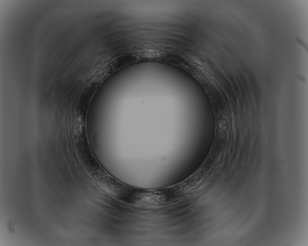 X0000091520555200709071019