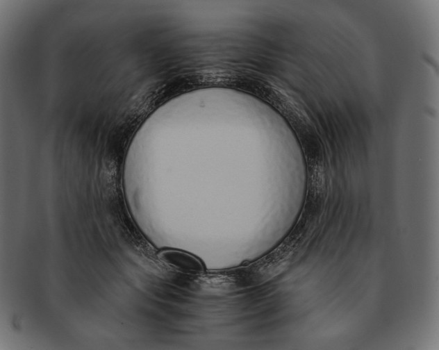 X0000091520557200709071019