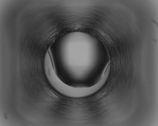 X0000091520558200709071019