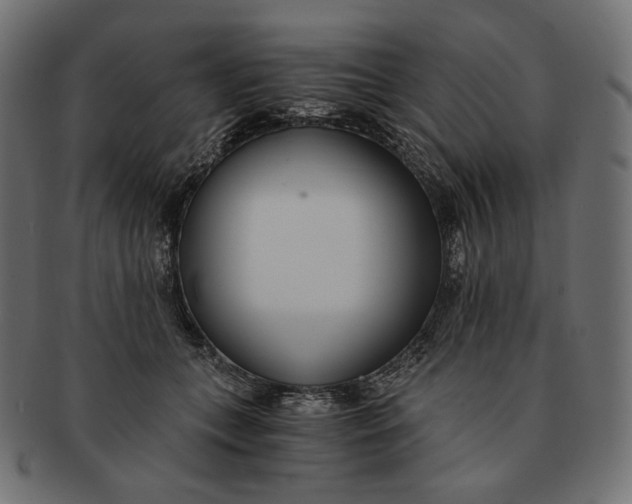 X0000091520559200709071019