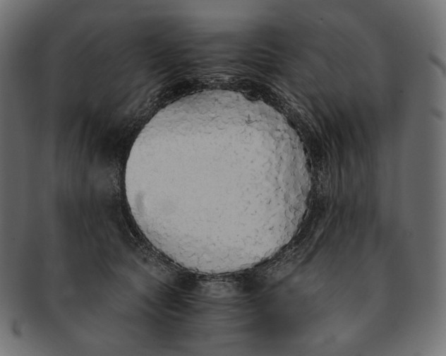 X0000091520561200709071019