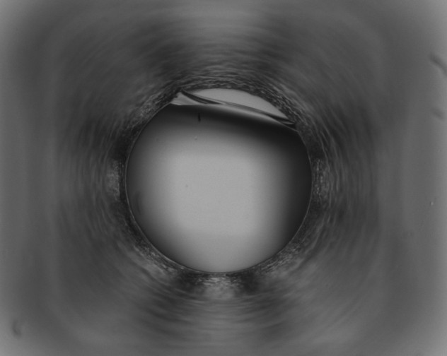 X0000091520562200709071019