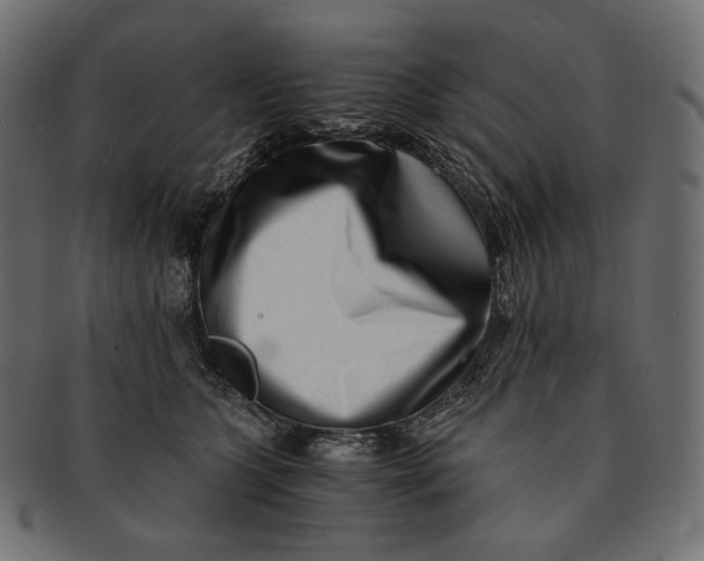 X0000091520563200709071019