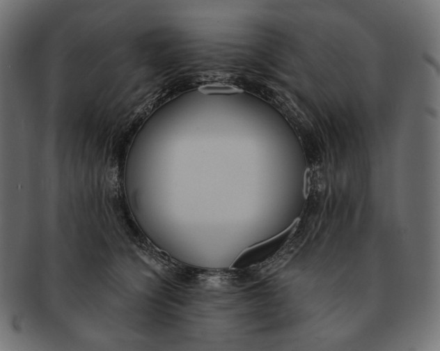 X0000091520564200709071019