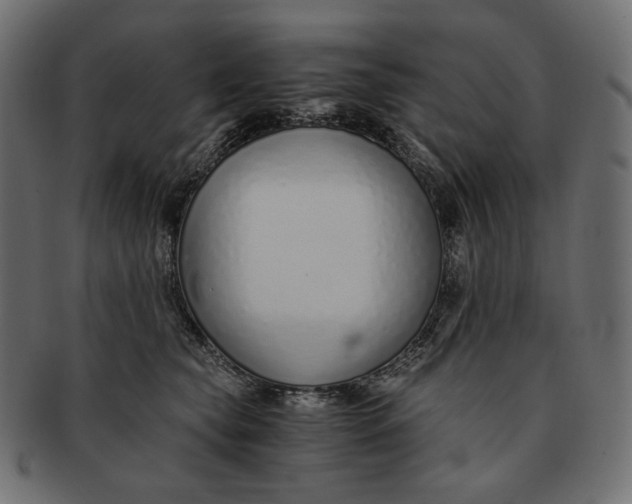 X0000091520565200709071019